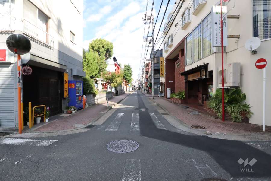 敷地西側の前面道路(南側から)