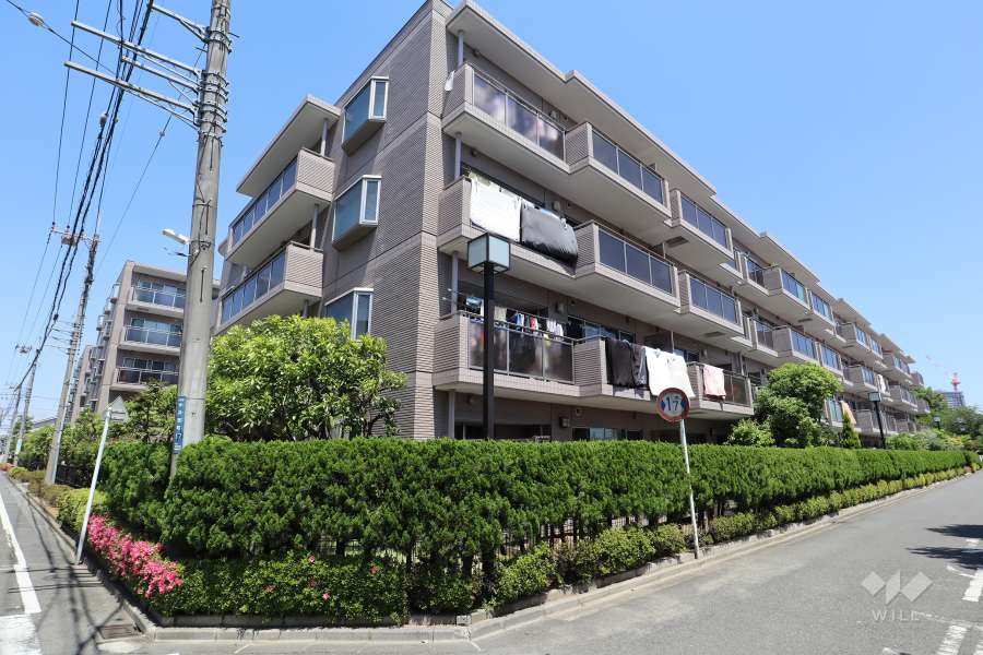 レシオン武蔵小杉の外観(南西側から)