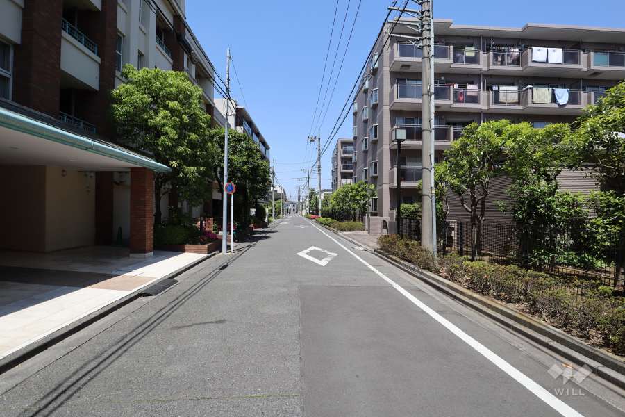 敷地西側の前面道路(南側から)