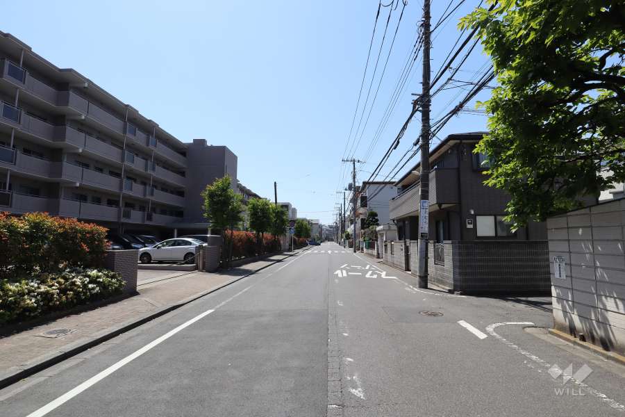 敷地北側の前面道路(東側から)