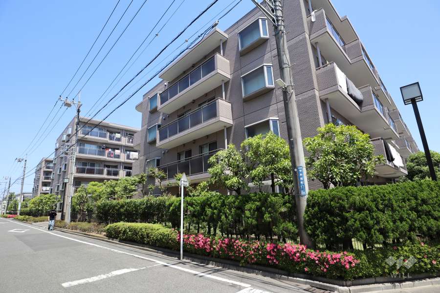 レシオン武蔵小杉の外観(西側から)