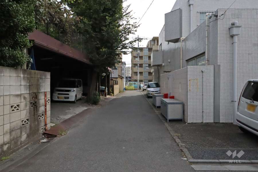 敷地東側の前面道路（北側から）