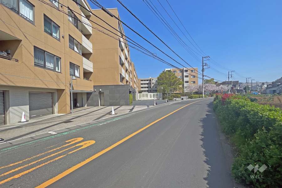 敷地南西側の前面道路（北西側から）