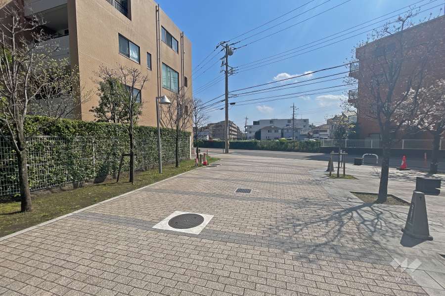 敷地西側の通路（北側から）