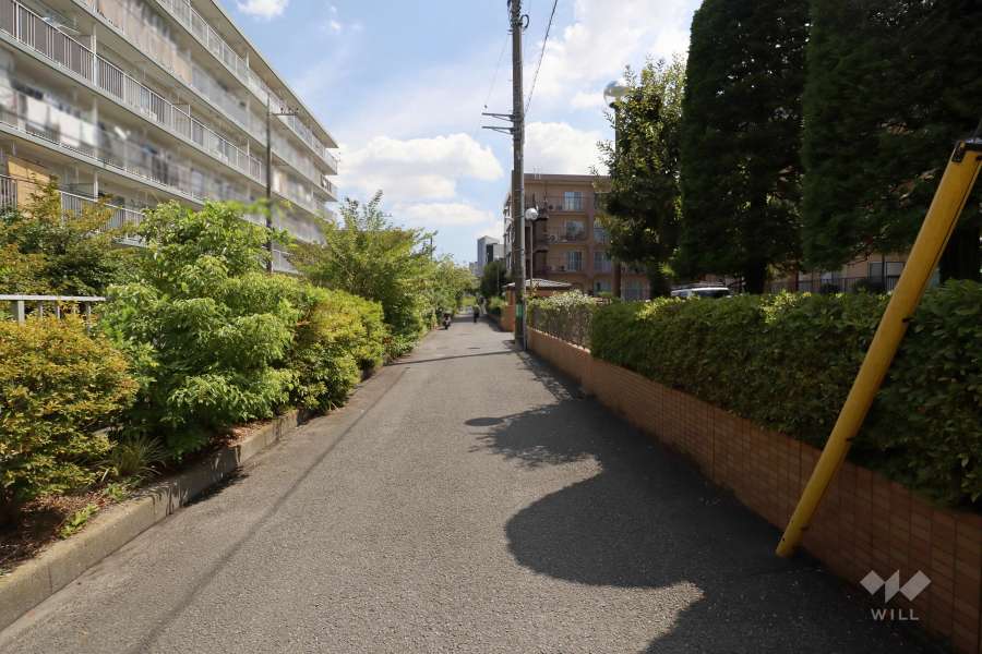 敷地北東側の前面道路（北西側から）