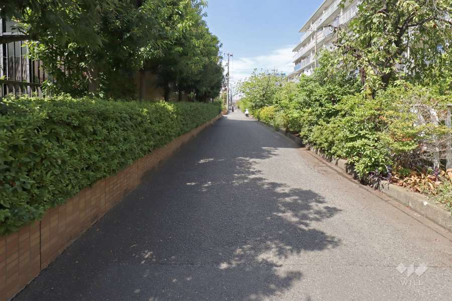 敷地北東側の前面道路（南東側から）