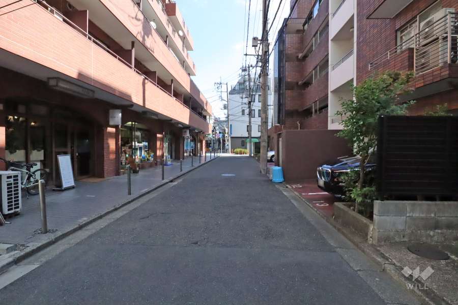 敷地南側の前面道路（西側から）