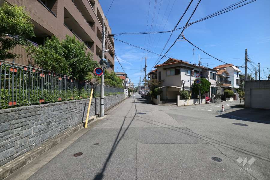 敷地南東側の前面道路（南側から）