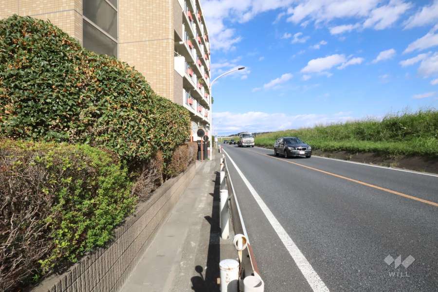 敷地東側の前面道路　