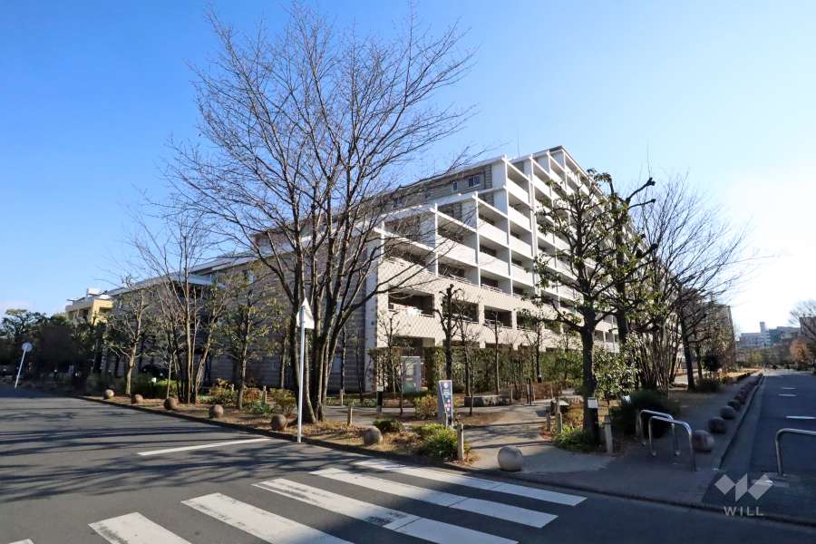 ザクレストシティパークコートの外観(北西側から)