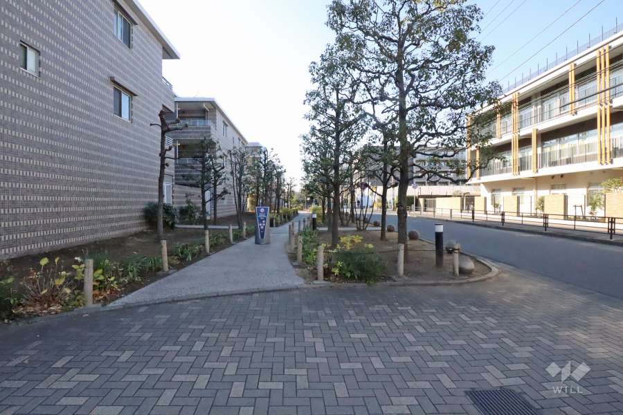 敷地北側の前面道路