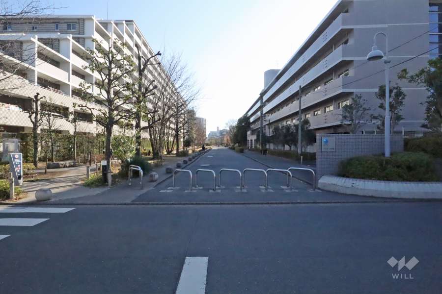 敷地西側の前面道路