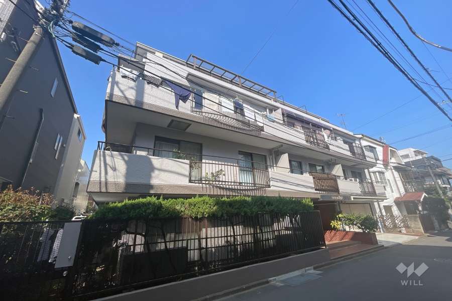 セザール新丸子の外観（南東側から）