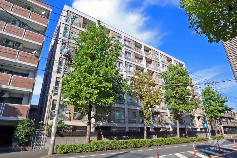 ニックハイム武蔵小杉の外観(南西側)