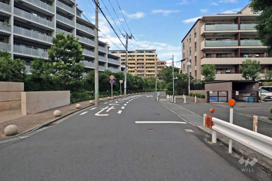 敷地東側の前面通路(南側から)