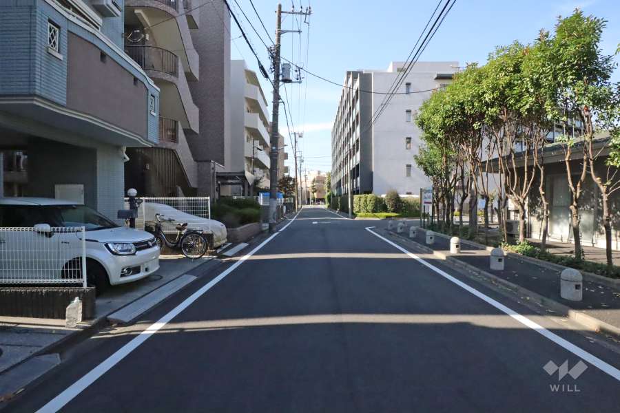 敷地北側の前面道路(東側から)