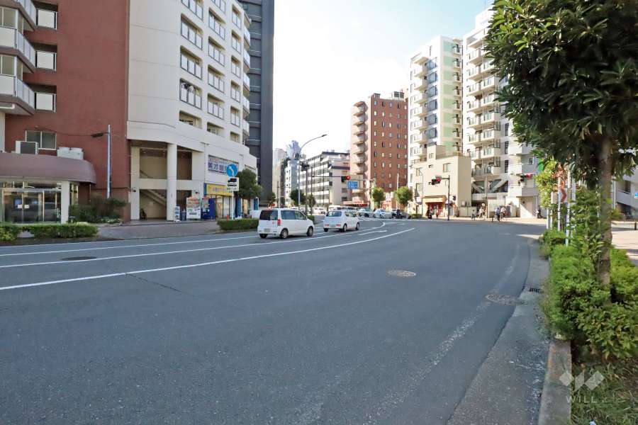 敷地北西側の前面道路（中原街道）