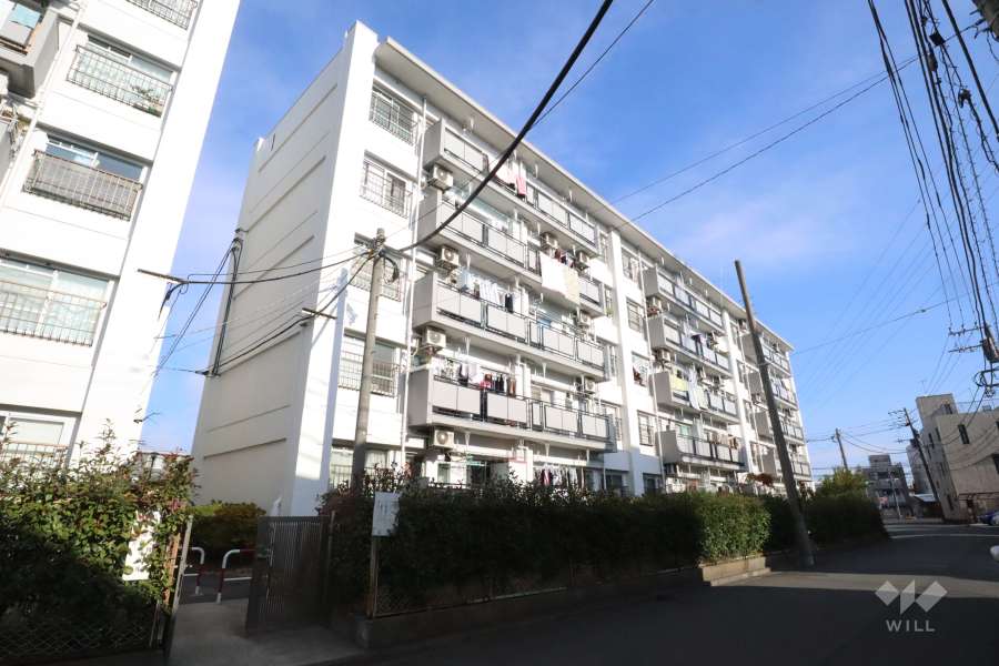 上平間住宅1号棟の外観(南西側から)