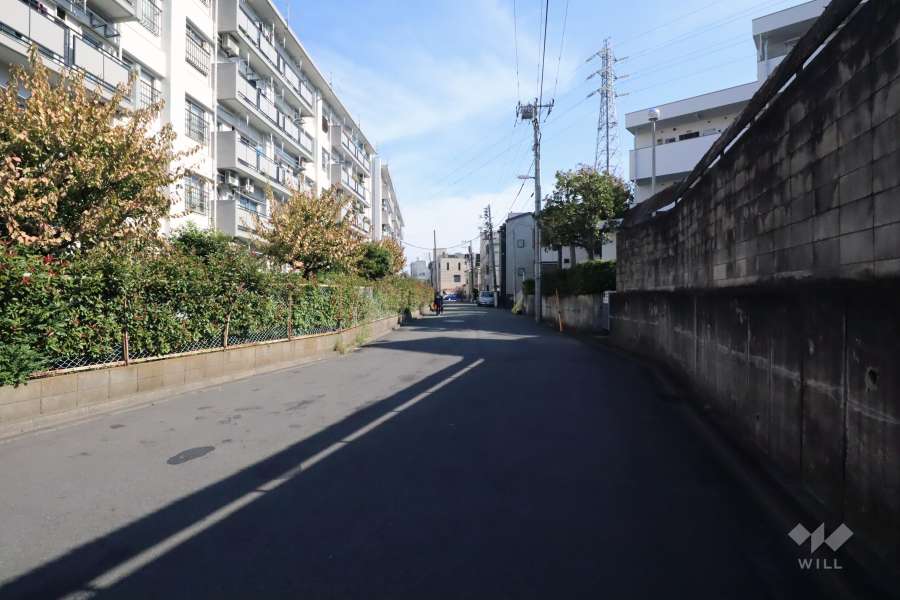 敷地南側の前面道路(西側から)