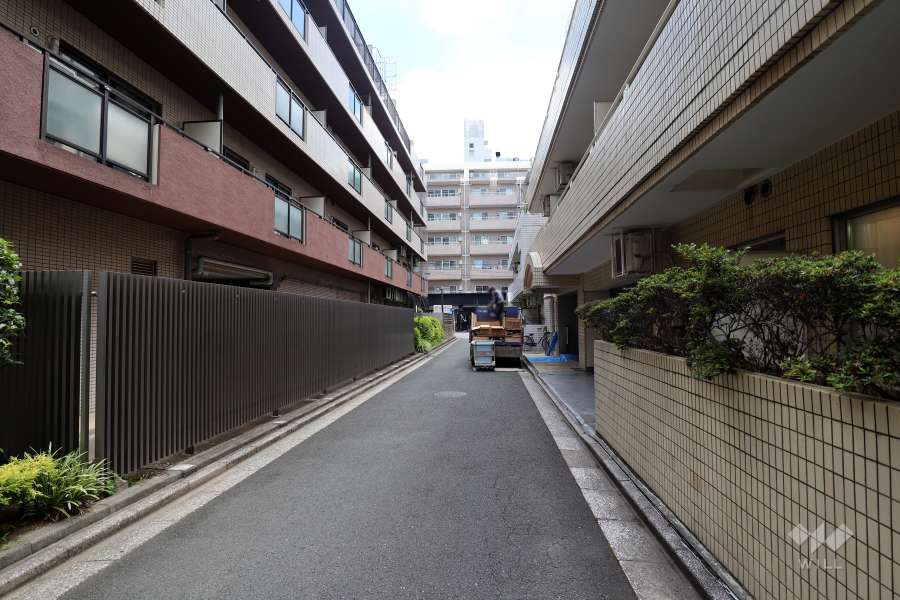 敷地北側の前面道路（西側から）