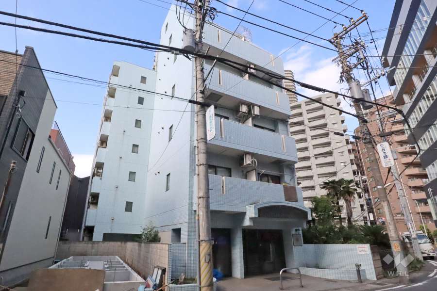 メゾンドアムールの外観（南西側から）