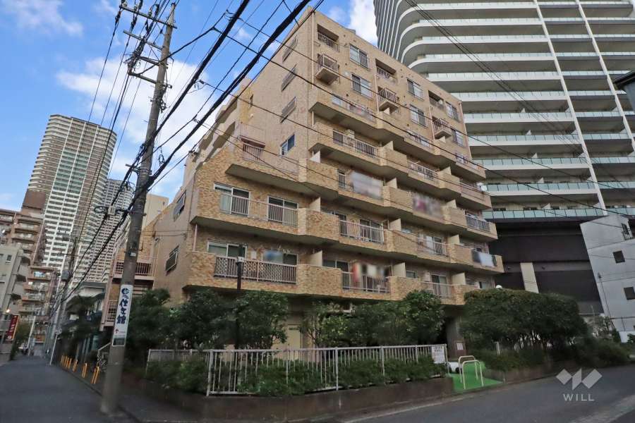 ダイアパレス武蔵小杉の外観（南西側から）