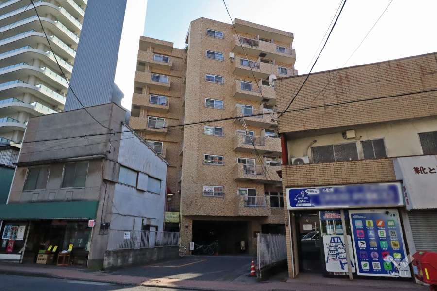ダイアパレス武蔵小杉の外観（北側から）