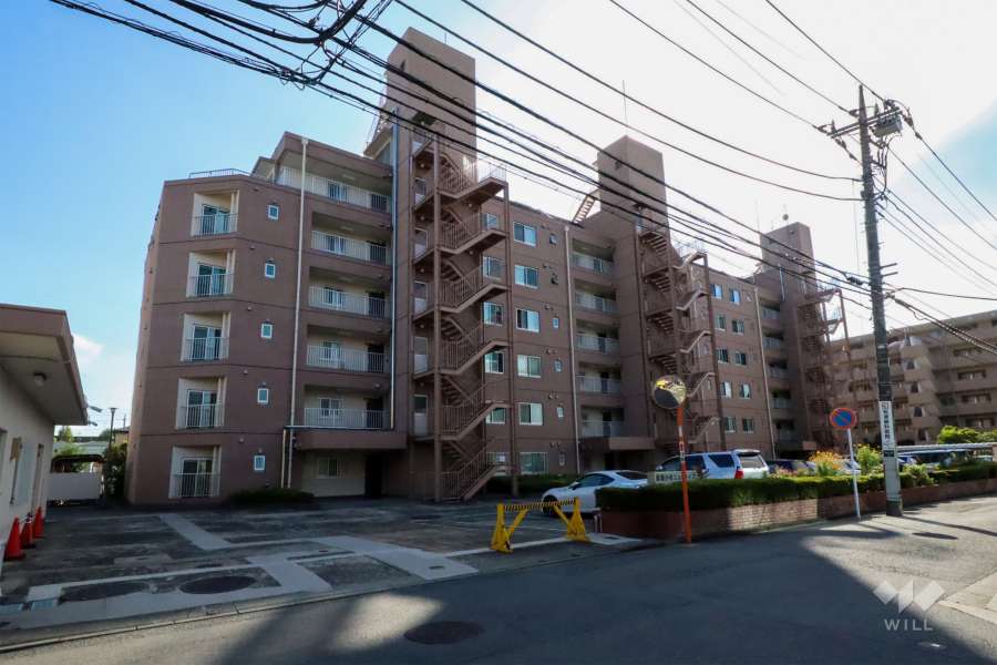 武蔵小杉ニューライフの外観(北東側から)　