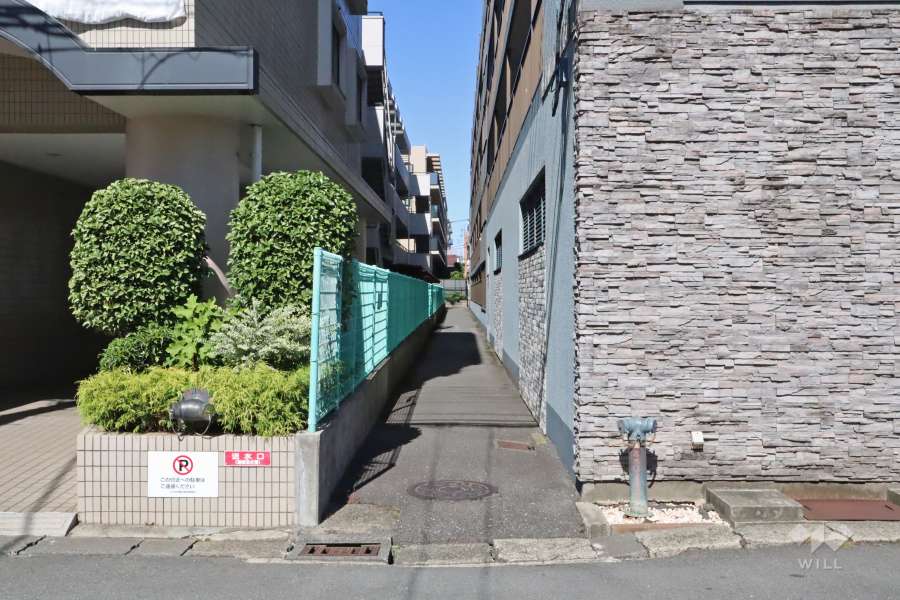 敷地東側の通路（南側から）