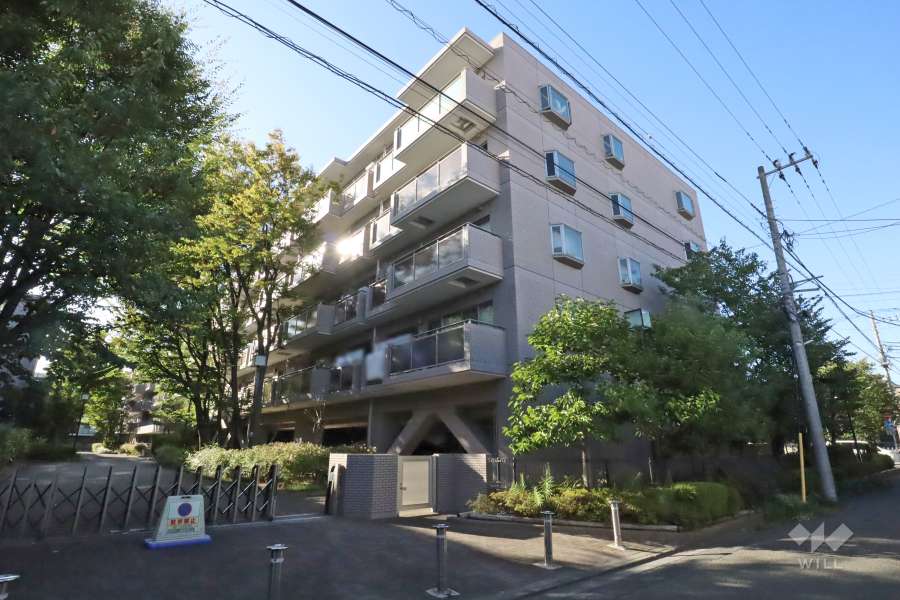 レシオン武蔵小杉Ａ棟の外観(南東側から)