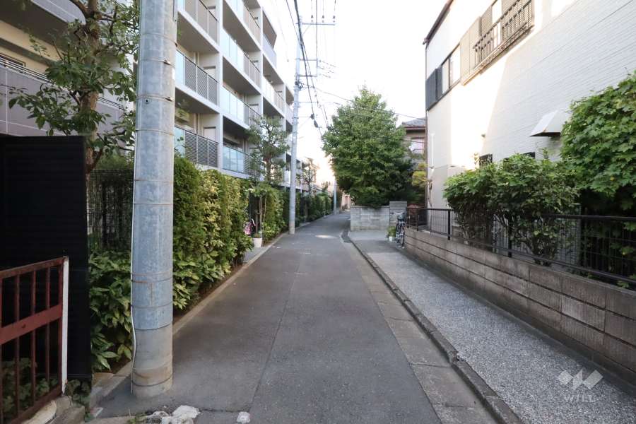 敷地東側の前面道路　