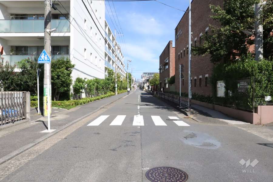 敷地東側の前面道路