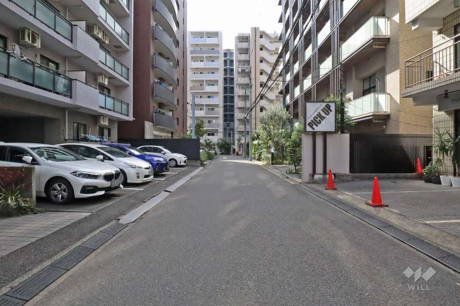 敷地東側の前面道路(南側から)