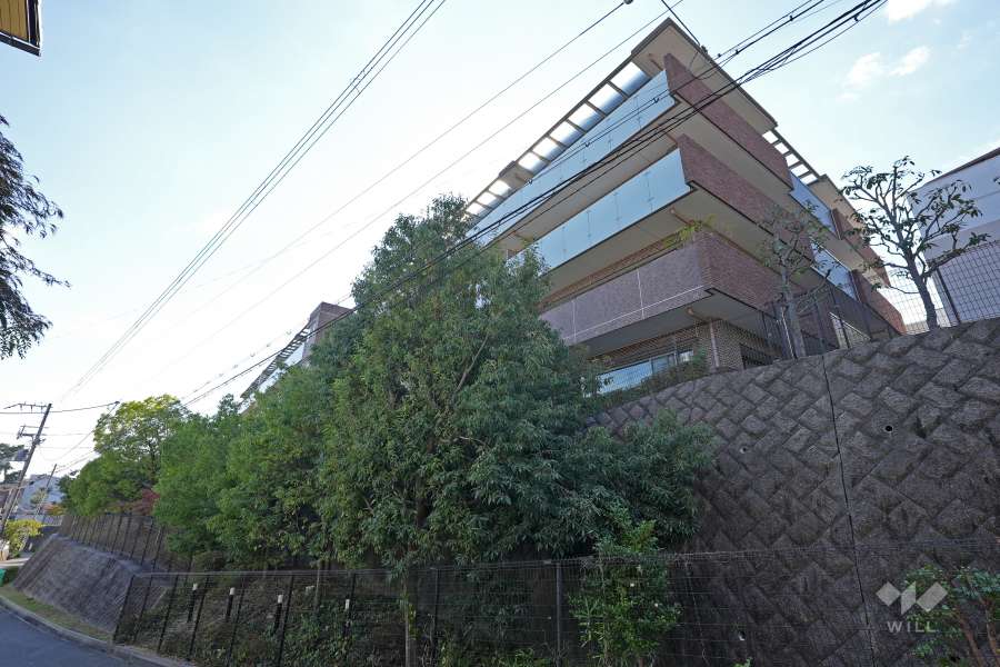 レジデンスコート夙川城山の外観（北東側から）