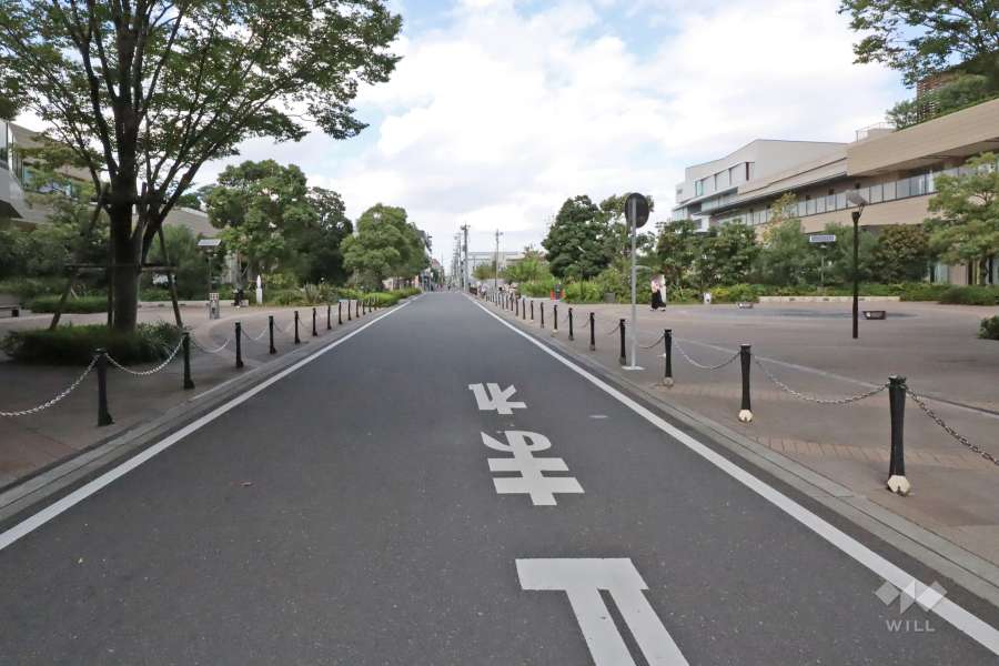 敷地西側の前面道路