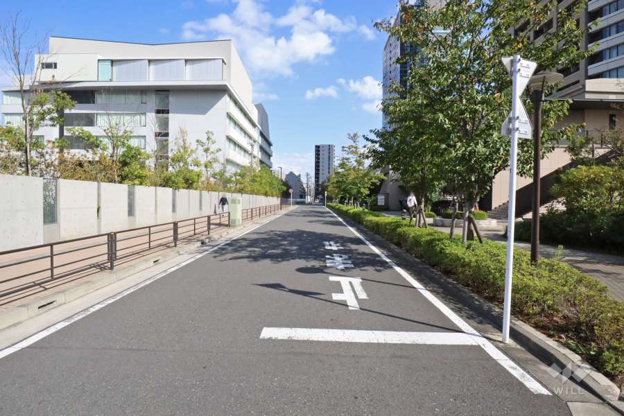 敷地北側の前面道路