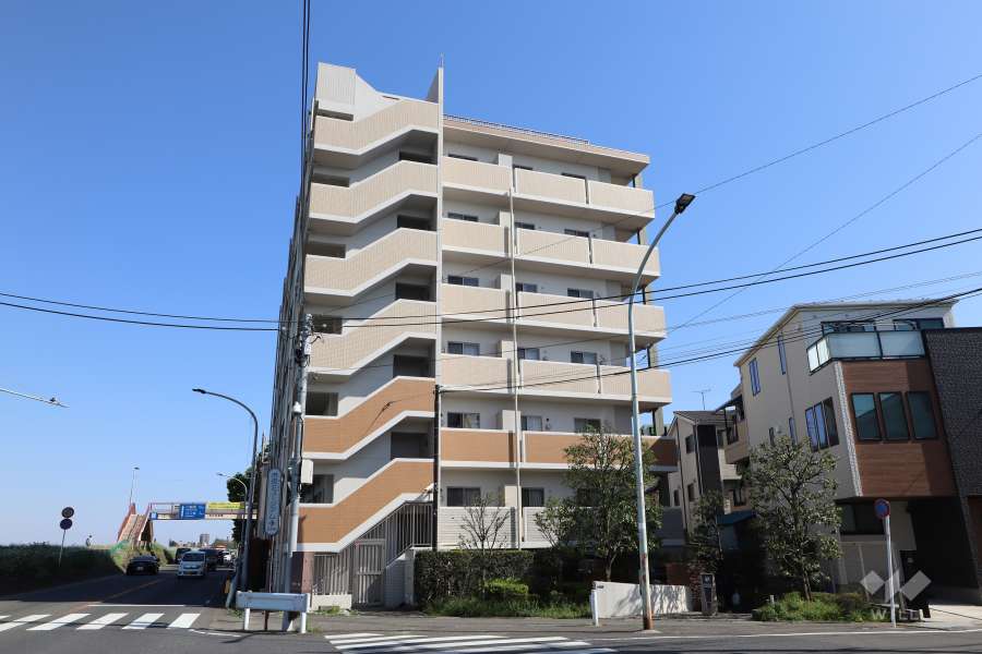 パテラ等々力緑地の外観（北西側から）