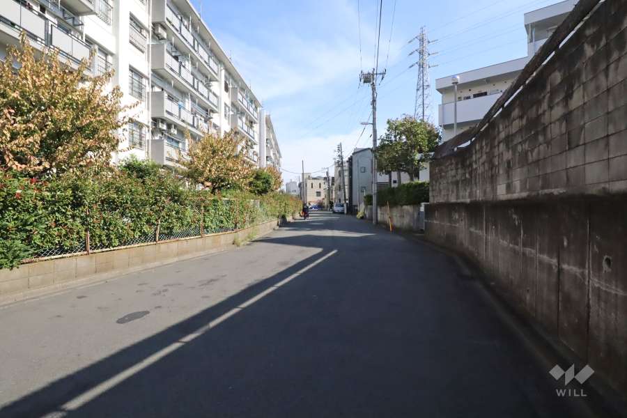 敷地南側の前面道路(西側から)