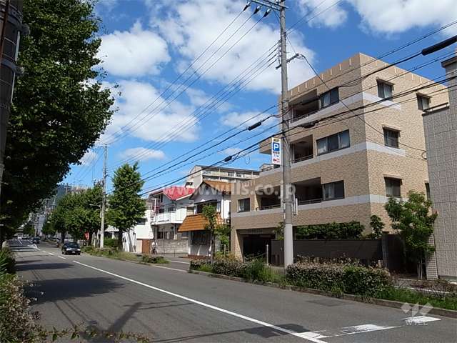 敷地の西側は二車線の街路樹のきれいな通りに面しています。