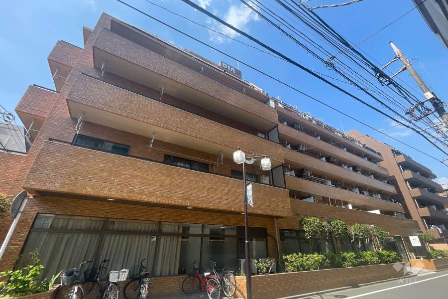 ダイアパレス新丸子の外観（南西側から）