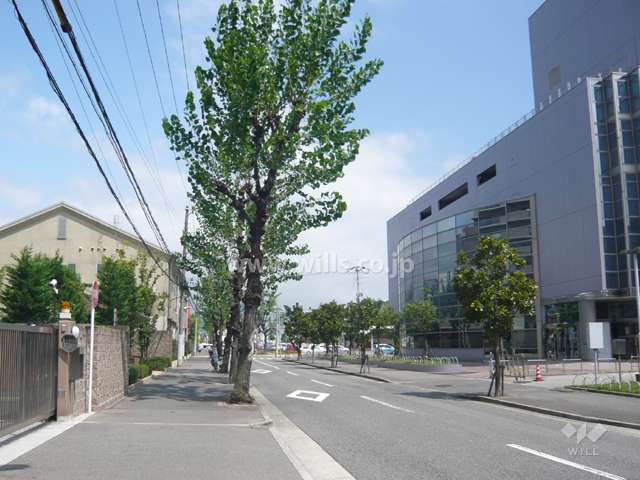敷地南東側の前面道路。2車線のバス通りです。