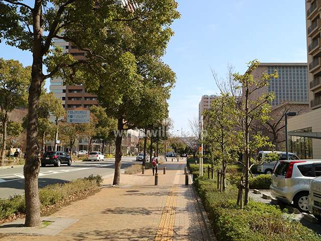 敷地北側の前面道路（西側から）