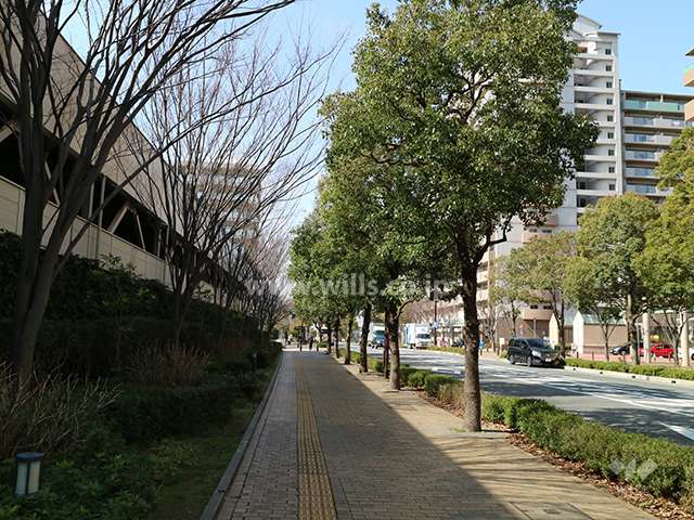 敷地北側の前面道路（東側から）