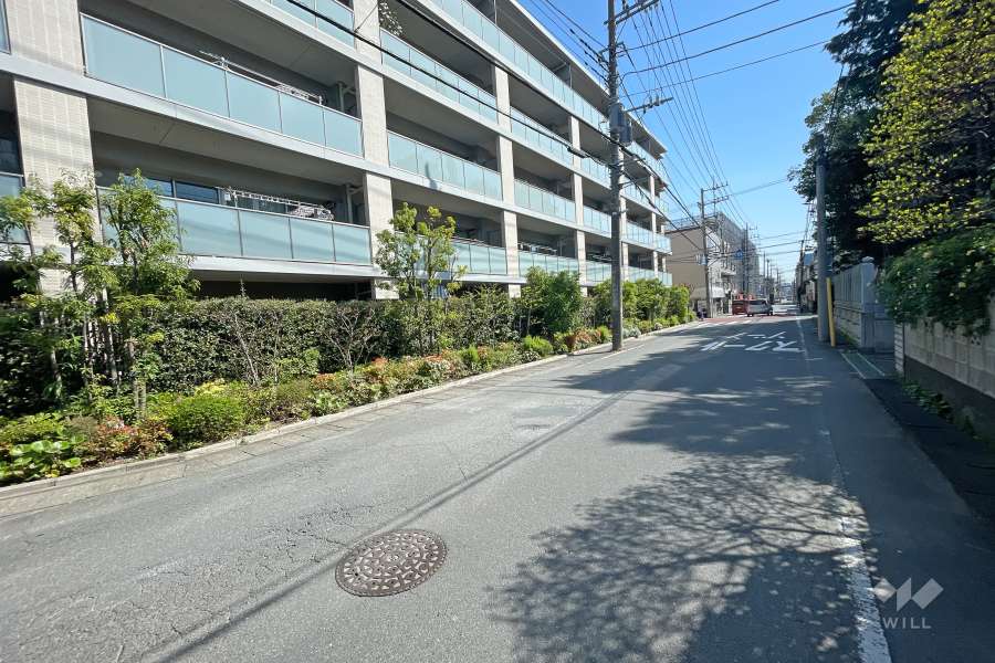 敷地南側の前面道路（西側から）