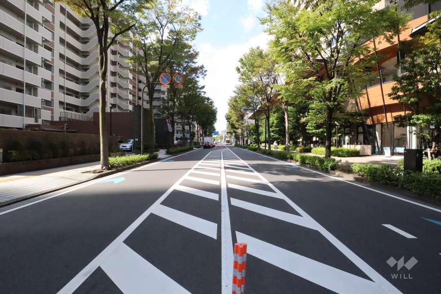 敷地南側の前面道路(東側から)