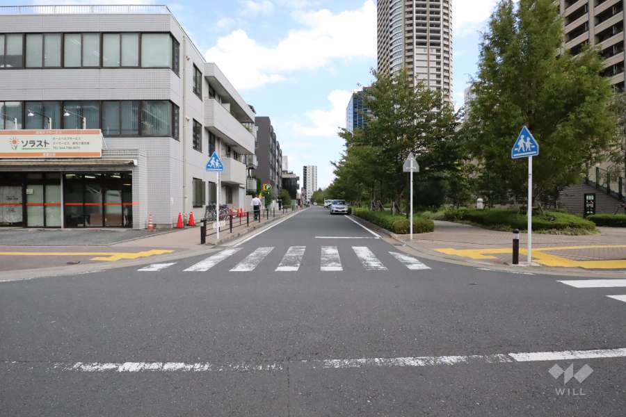 敷地北側の前面道路(西側から)