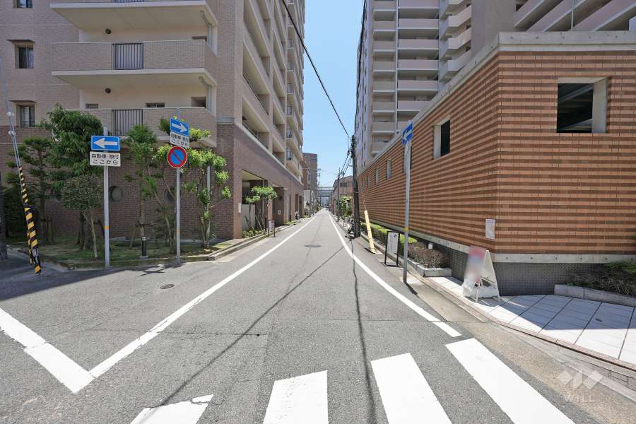 敷地東側の前面道路（北側から）
