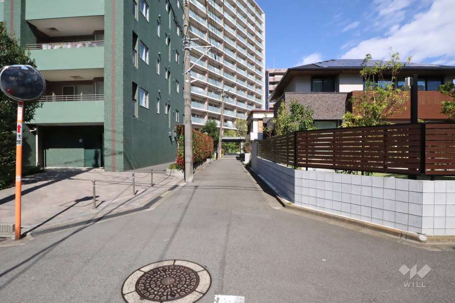 敷地南東側の前面道路　