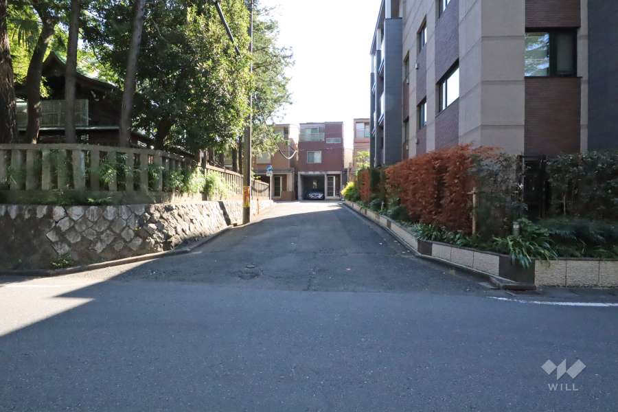 敷地東側の前面道路（北側から）