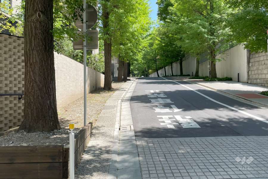 敷地南側の前面道路